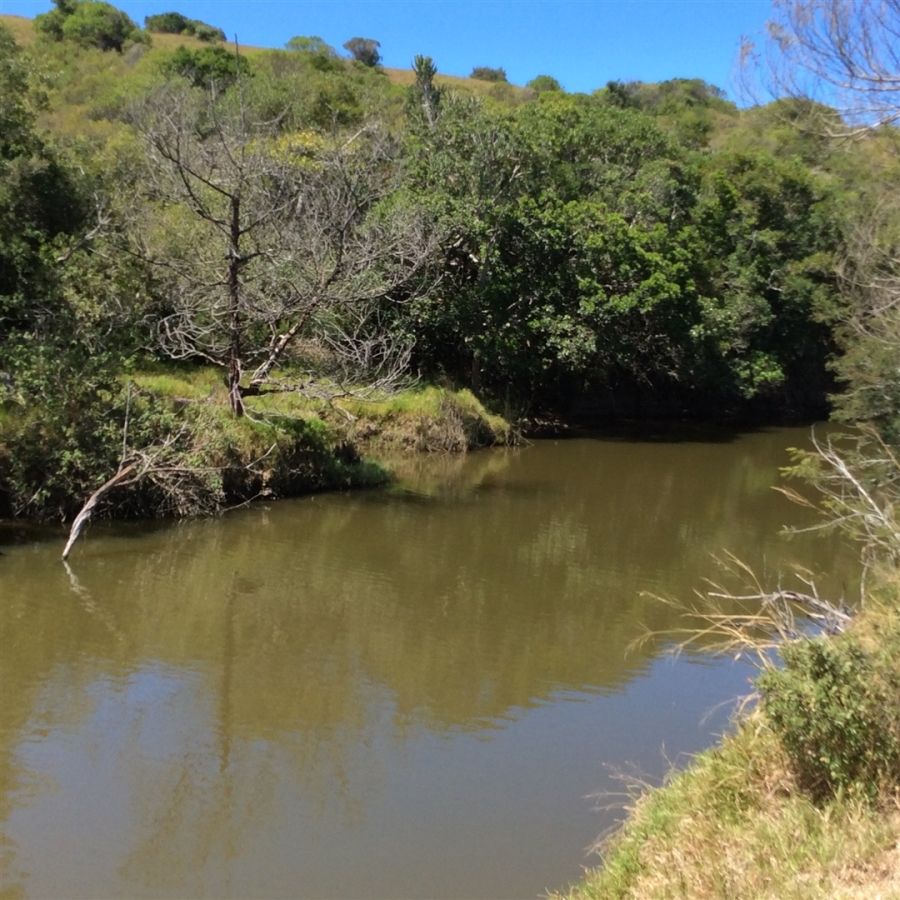 3 Bedroom Property for Sale in Kidds Beach Eastern Cape